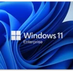 Windows 11 Enterprise - Windows Key (Global)
