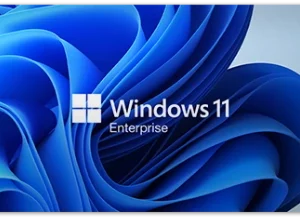 Windows 11 Enterprise - Windows Key (Global)