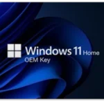 Windows 11 Home OEM Key (Global)