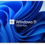 Windows 11 Pro OEM Key (Global)