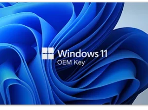Windows 11 Pro OEM Key (Global)