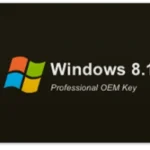Windows 8.1 Professional OEM Key (Global)