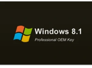 Windows 8.1 Professional OEM Key (Global)
