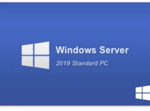 Windows Server 2019 Standard PC - Windows Key (Global)