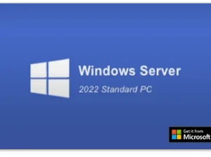 Windows Server 2022 Standard PC- Microsoft Key (Global)
